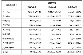 冠县融资清欠服务